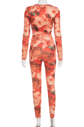 Casual Print Long Sleeve Two Pieces