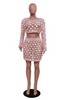 Knitted Hollow Cool Beach Shirt 2PC Set