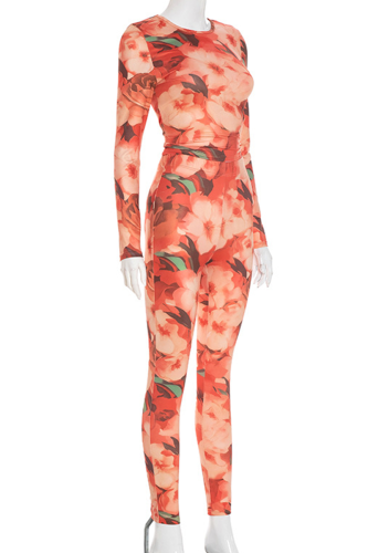 Casual Print Long Sleeve Two Pieces