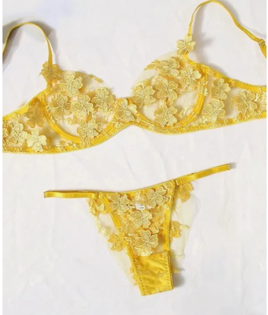 Sexy Lingerie embroidery 2PC suit