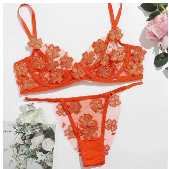 Sexy Lingerie embroidery 2PC suit