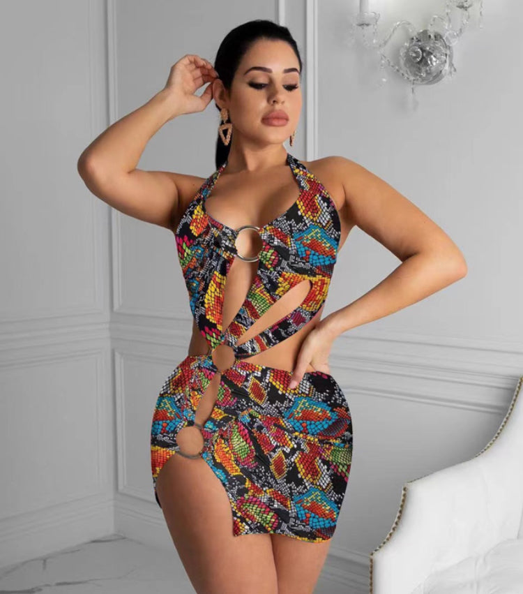 Sexy Colorful Dress