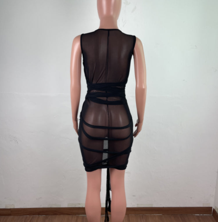 Sexy Mesh Lace Dress
