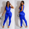 Deep V High Waist Glossy Jumpsuit