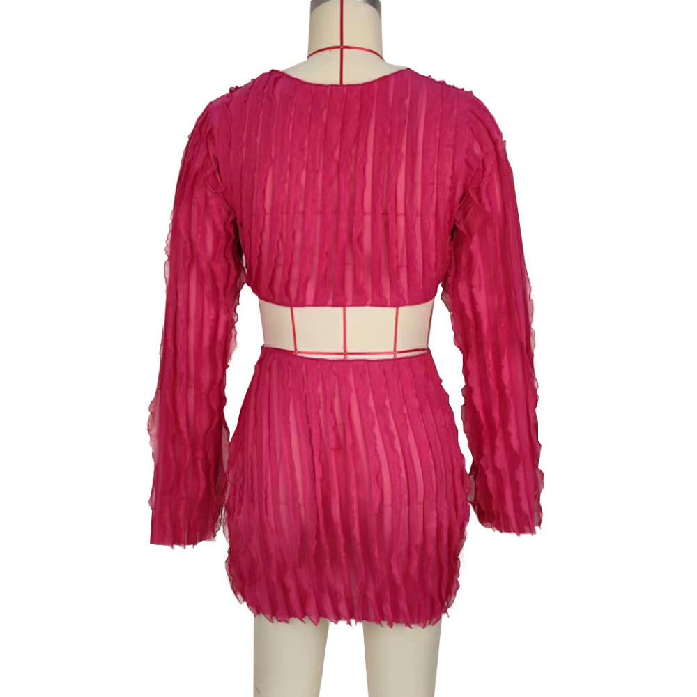Long Sleeve Mesh Wave Pattern Sexy Short Dress