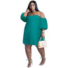 Chiffon Lantern Sleeve Draping Pleated Double Layer Dress