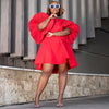 Pleated Lantern Sleeve Doll Dress