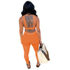 Sexy Casual Solid Bare Back Top 2PC Set