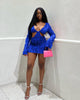 Long Sleeve Mesh Wave Pattern Sexy Short Dress