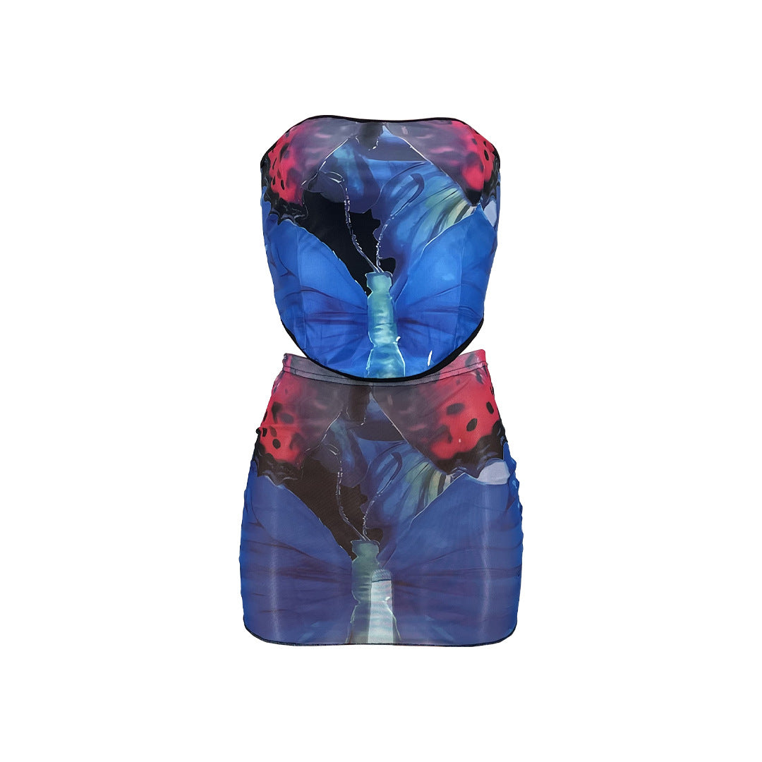 Lace-up Waist Butterfly Print 2PC Skirt