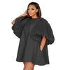 Pleated Lantern Sleeve Doll Dress