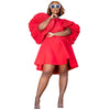 Pleated Lantern Sleeve Doll Dress