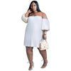 Chiffon Lantern Sleeve Draping Pleated Double Layer Dress