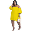 Chiffon Lantern Sleeve Draping Pleated Double Layer Dress