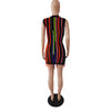 Fringe Sleeveless Slim Fit Panel Knit Dress