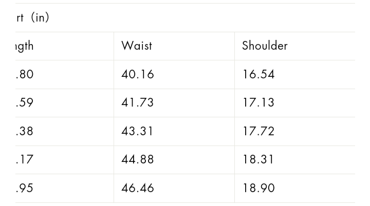 Men's Warm Winter Vest
