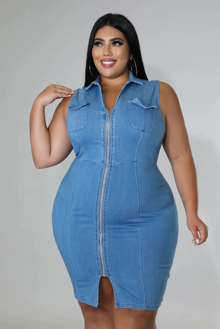Pluse Size Denim Dress