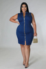 Pluse Size Denim Dress