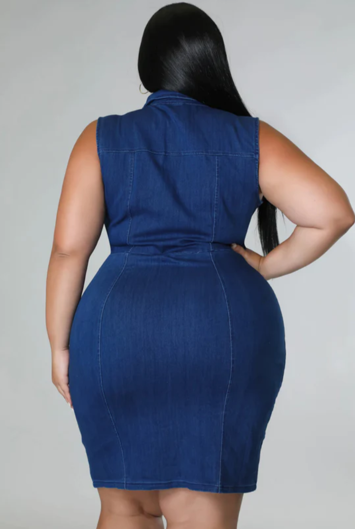 Pluse Size Denim Dress